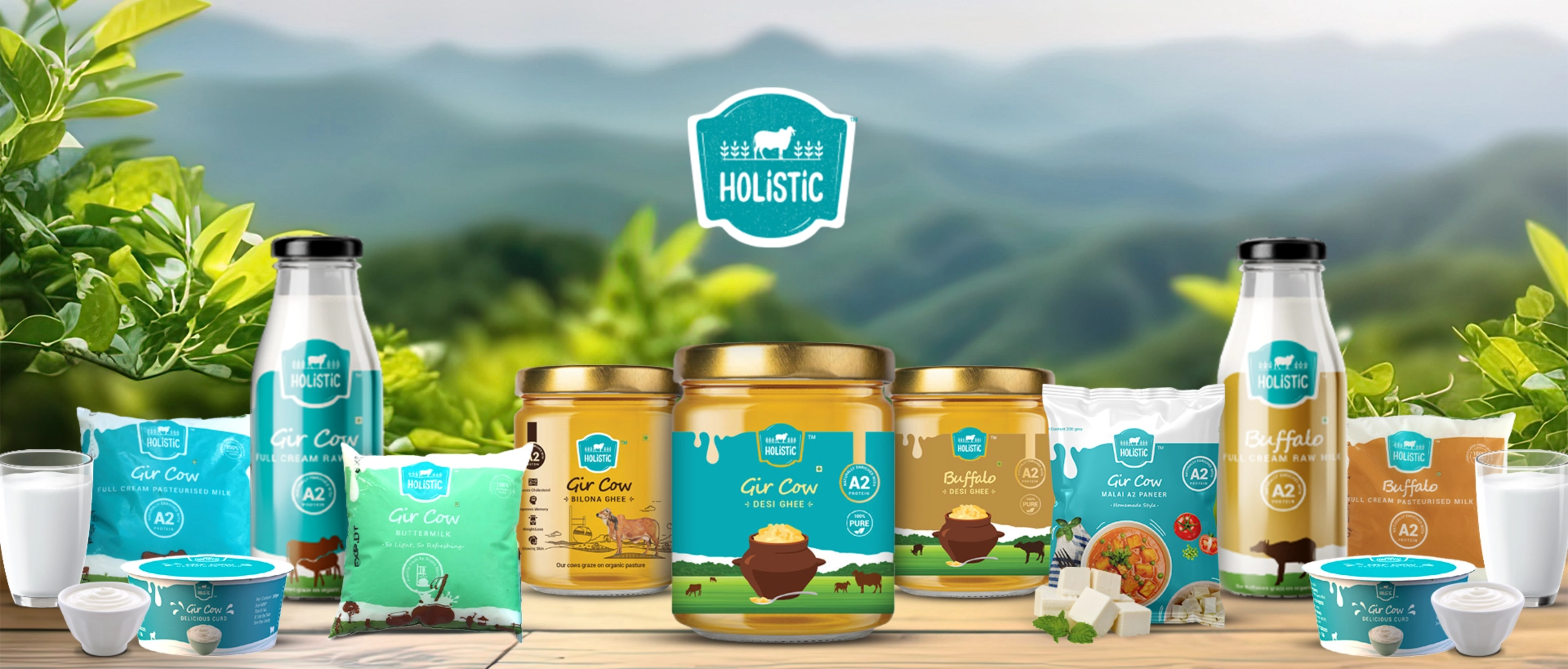 Holistic Packaging Portfolio